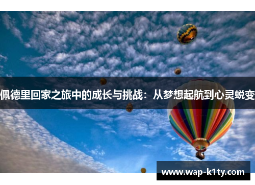 佩德里回家之旅中的成长与挑战：从梦想起航到心灵蜕变