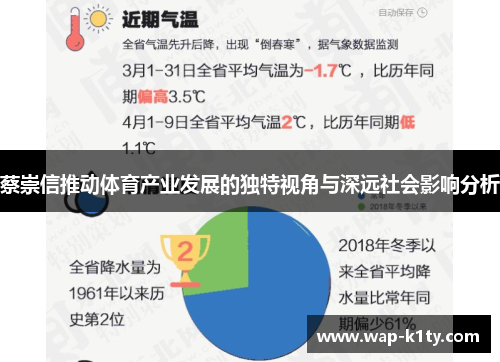 蔡崇信推动体育产业发展的独特视角与深远社会影响分析