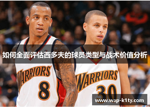 如何全面评估西多夫的球员类型与战术价值分析