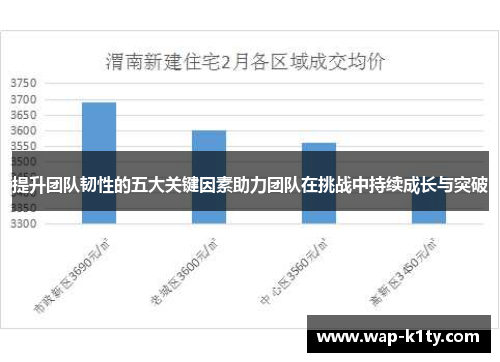 提升团队韧性的五大关键因素助力团队在挑战中持续成长与突破