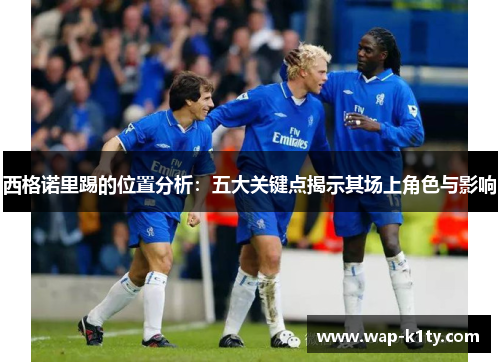 西格诺里踢的位置分析：五大关键点揭示其场上角色与影响