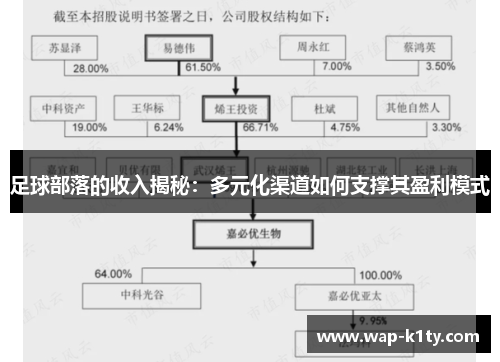 足球部落的收入揭秘：多元化渠道如何支撑其盈利模式